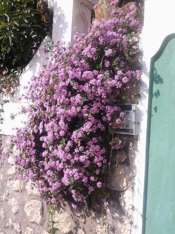B&B Angelide Anacapri  Exterior photo